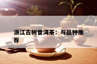 浙江古树普洱茶：与品种推荐