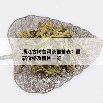 浙江古树普洱茶售价表：最新价格及图片一览