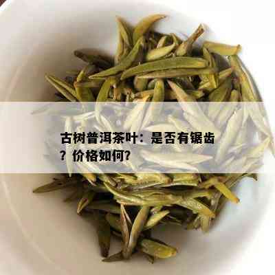 古树普洱茶叶：是否有锯齿？价格如何？