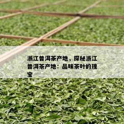 浙江普洱茶产地，探秘浙江普洱茶产地：品味茶叶的瑰宝