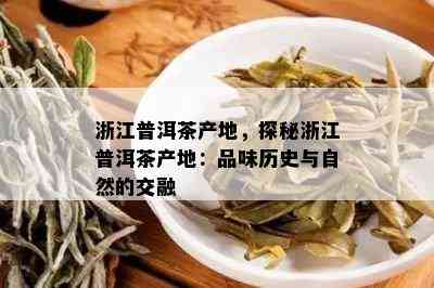 浙江普洱茶产地，探秘浙江普洱茶产地：品味历史与自然的交融