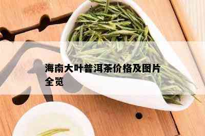 海南大叶普洱茶价格及图片全览