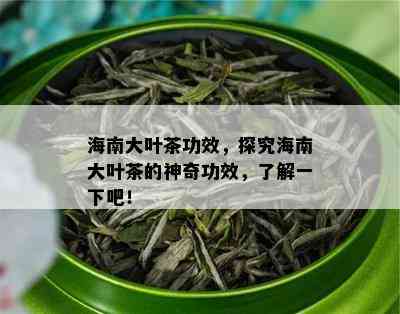 海南大叶茶功效，探究海南大叶茶的神奇功效，了解一下吧！