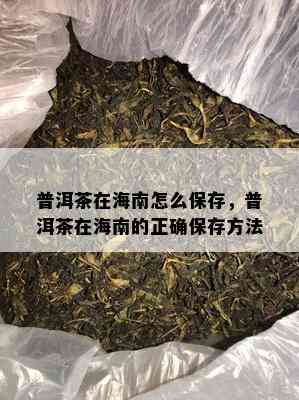 普洱茶在海南怎么保存，普洱茶在海南的正确保存方法