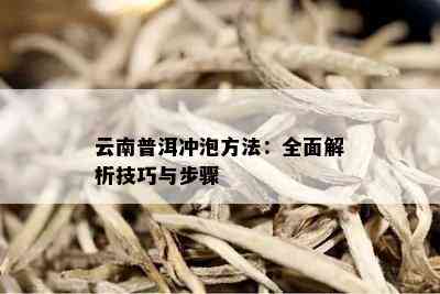 云南普洱冲泡方法：全面解析技巧与步骤