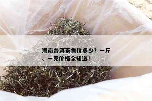 海南普洱茶售价多少？一斤、一克价格全知道！