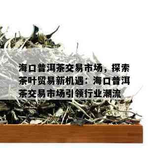 海口普洱茶交易市场，探索茶叶贸易新机遇：海口普洱茶交易市场引领行业潮流