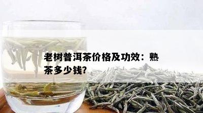 老树普洱茶价格及功效：熟茶多少钱？