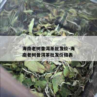 海南老树普洱茶批发价-海南老树普洱茶批发价格表