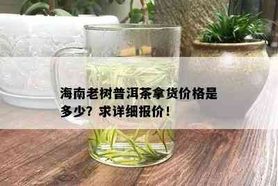 海南老树普洱茶拿货价格是多少？求详细报价！