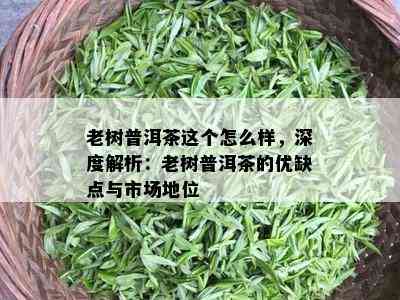 老树普洱茶这个怎么样，深度解析：老树普洱茶的优缺点与市场地位