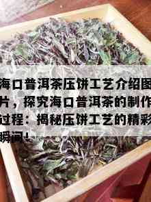 海口普洱茶压饼工艺介绍图片，探究海口普洱茶的制作过程：揭秘压饼工艺的精彩瞬间！