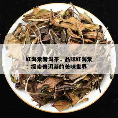 红海棠普洱茶，品味红海棠：探索普洱茶的美味世界