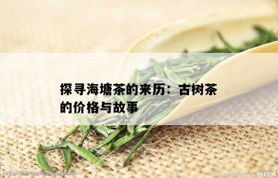 探寻海塘茶的来历：古树茶的价格与故事