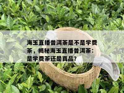 海玉直播普洱茶是不是学费茶，揭秘海玉直播普洱茶：是学费茶还是真品？