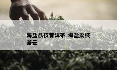 海盐荔枝普洱茶-海盐荔枝茶云