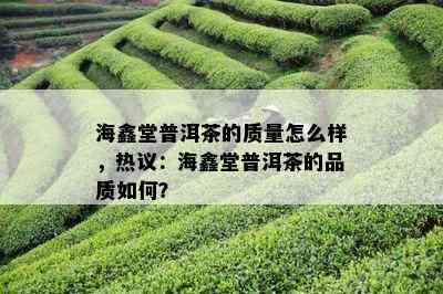 海鑫堂普洱茶的质量怎么样，热议：海鑫堂普洱茶的品质如何？