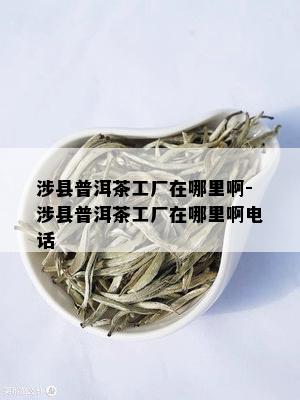 涉县普洱茶工厂在哪里啊-涉县普洱茶工厂在哪里啊电话