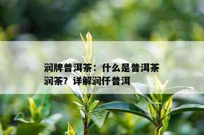 润牌普洱茶：什么是普洱茶润茶？详解润仟普洱