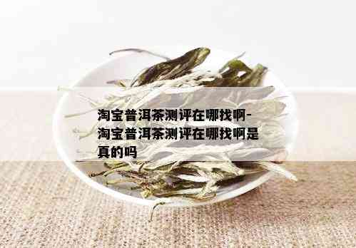 淘宝普洱茶测评在哪找啊-淘宝普洱茶测评在哪找啊是真的吗