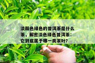 淡颜色绿色的普洱茶是什么茶，解密淡色绿色普洱茶：它到底属于哪一类茶叶？