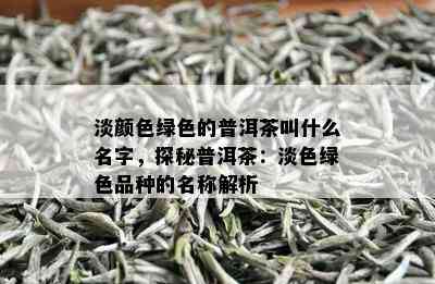 淡颜色绿色的普洱茶叫什么名字，探秘普洱茶：淡色绿色品种的名称解析