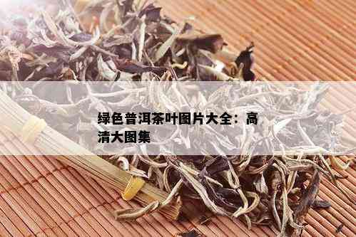 绿色普洱茶叶图片大全：高清大图集