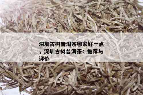 深圳古树普洱茶哪家好一点，深圳古树普洱茶：推荐与评价