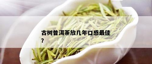 古树普洱茶放几年口感更佳？