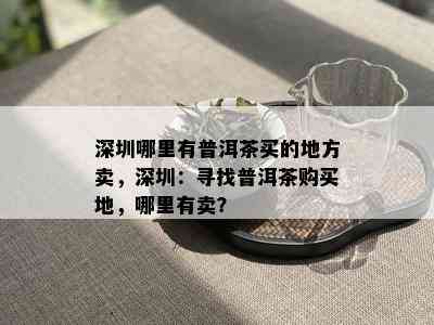 深圳哪里有普洱茶买的地方卖，深圳：寻找普洱茶购买地，哪里有卖？