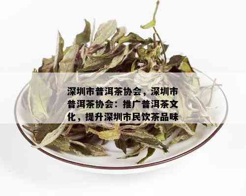 深圳市普洱茶协会，深圳市普洱茶协会：推广普洱茶文化，提升深圳市民饮茶品味