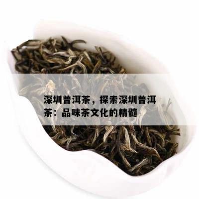 深圳普洱茶，探索深圳普洱茶：品味茶文化的精髓