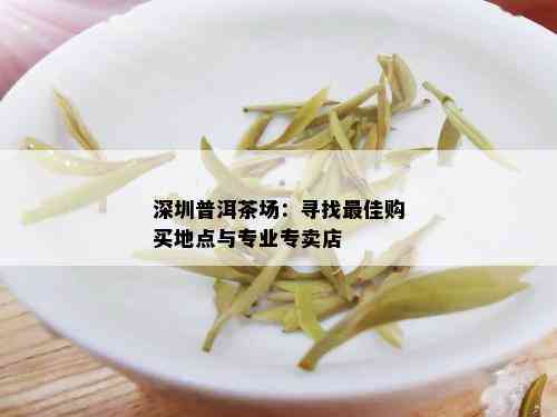 深圳普洱茶场：寻找更佳购买地点与专业专卖店