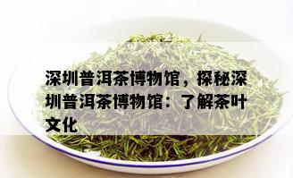 深圳普洱茶博物馆，探秘深圳普洱茶博物馆：了解茶叶文化