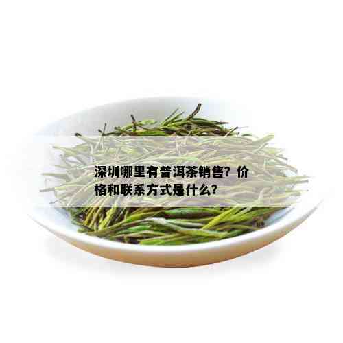 深圳哪里有普洱茶销售？价格和联系方式是什么？