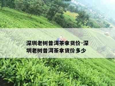 深圳老树普洱茶拿货价-深圳老树普洱茶拿货价多少