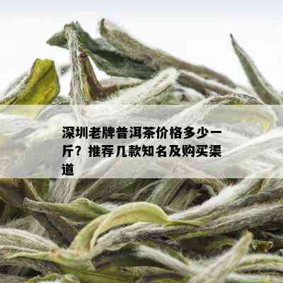 深圳老牌普洱茶价格多少一斤？推荐几款知名及购买渠道