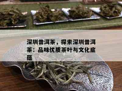 深圳普洱茶，探索深圳普洱茶：品味优质茶叶与文化底蕴