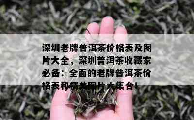 深圳老牌普洱茶价格表及图片大全，深圳普洱茶收藏家必备：全面的老牌普洱茶价格表和精美图片大集合！