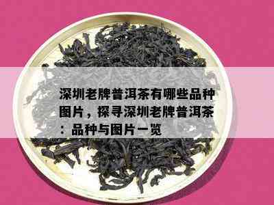 深圳老牌普洱茶有哪些品种图片，探寻深圳老牌普洱茶：品种与图片一览