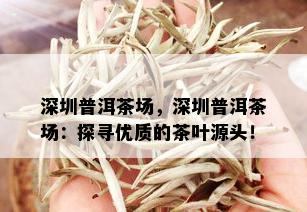 深圳普洱茶场，深圳普洱茶场：探寻优质的茶叶源头！