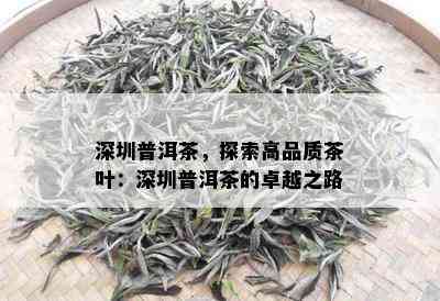 深圳普洱茶，探索高品质茶叶：深圳普洱茶的卓越之路