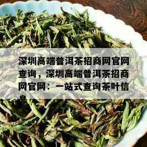 深圳高端普洱茶招商网官网查询，深圳高端普洱茶招商网官网：一站式查询茶叶信息