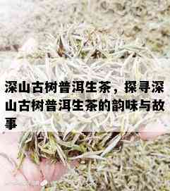 深山古树普洱生茶，探寻深山古树普洱生茶的韵味与故事