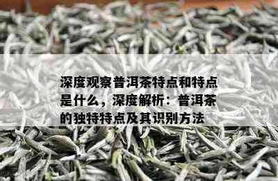 深度观察普洱茶特点和特点是什么，深度解析：普洱茶的独特特点及其识别方法