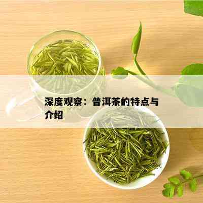 深度观察：普洱茶的特点与介绍