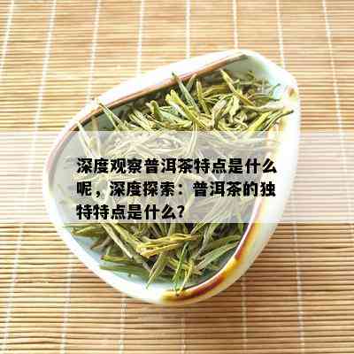 深度观察普洱茶特点是什么呢，深度探索：普洱茶的独特特点是什么？