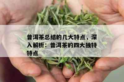 普洱茶总结的几大特点，深入解析：普洱茶的四大独特特点