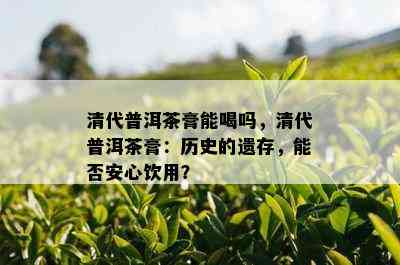 清代普洱茶膏能喝吗，清代普洱茶膏：历史的遗存，能否安心饮用？