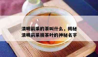 清明前采的茶叫什么，揭秘清明前采摘茶叶的神秘名字